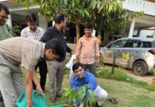 पर्यावरण दिवस पर डीएम कार्यालय में गूंजा हरियाली का संदेश एडीएम सिटी व सिटी मजिस्ट्रेट ने किया पौधरोपण, पर्यावरण संरक्षण का दिलाया संकल्प