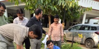 पर्यावरण दिवस पर डीएम कार्यालय में गूंजा हरियाली का संदेश एडीएम सिटी व सिटी मजिस्ट्रेट ने किया पौधरोपण, पर्यावरण संरक्षण का दिलाया संकल्प