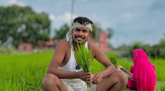18-19 जून को प्राकृतिक खेती पर महाअभियान, किसानों को मिलेगी समृद्धि की नई राह