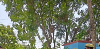 ऑपरेशन ‘दहन’ के तहत बड़ी कार्रवाई, 75 लाख रुपये के मादक पदार्थ किए गए नष्ट 9.891 किलोग्राम गांजा और स्मैक हाई-टेक इंसीनरेटर में जलाया गया, तस्करों पर शिकंजा जारी