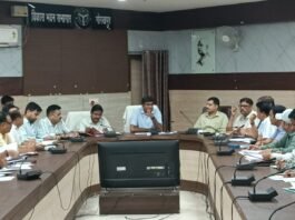47.82 लाख पौधरोपण लक्ष्य पूरा करने पर जोर, डीएम ने दिए सख्त निर्देश