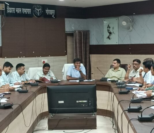 47.82 लाख पौधरोपण लक्ष्य पूरा करने पर जोर, डीएम ने दिए सख्त निर्देश