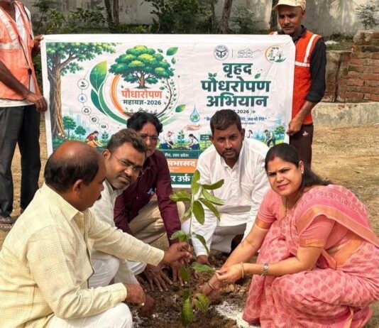 नगर पंचायत बखिरा ने पूरा किया दो हजार पौधारोपण का लक्ष्य, संरक्षण के लिए भी बनेगी विशेष कार्ययोजना