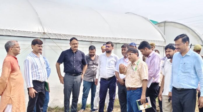 डीएम आलोक कुमार ने कृषि विज्ञान केंद्र का किया औचक निरीक्षण वैज्ञानिकों के कार्यों की सराहना, हाईटेक नर्सरी और बाजरा प्रक्षेत्र का लिया जायजा