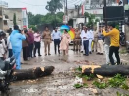 भारी बारिश के अलर्ट पर प्रशासन सतर्क, डीएम-एसपी ने परखी बाढ़ से निपटने की तैयारी कलवारी-टांडा पुल और तटबंधों का किया निरीक्षण, बाढ़ चौकियों को सक्रिय रखने के निर्देश