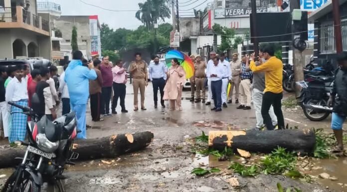 भारी बारिश के अलर्ट पर प्रशासन सतर्क, डीएम-एसपी ने परखी बाढ़ से निपटने की तैयारी कलवारी-टांडा पुल और तटबंधों का किया निरीक्षण, बाढ़ चौकियों को सक्रिय रखने के निर्देश