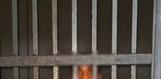 चोरी की पानी की मोटर और 2,100 रुपये के साथ आरोपी गिरफ्तार गीडा पुलिस ने चोरी के दो मामलों में की कार्रवाई, बरामदगी के बाद मुकदमे में बढ़ाई गईं संबंधित धाराएं