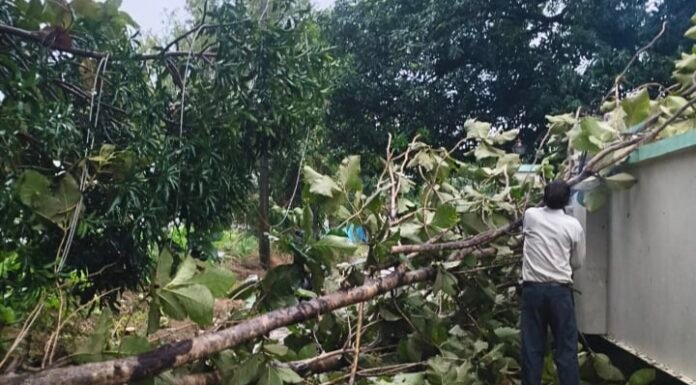 तूफानी बारिश में बिजली गुल, 40 गांवों में पसरा अंधेरा आंधी-पानी के बीच गिरे पेड़ और पोल, नौसड़ जेई की टीम युद्धस्तर पर जुटी, जल्द आपूर्ति बहाल करने का दावा