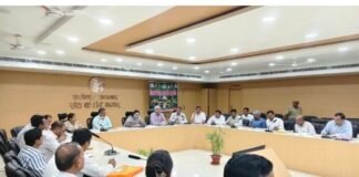 पौधरोपण की जियोटैगिंग माह के अंत तक पूरी करें : डीएम